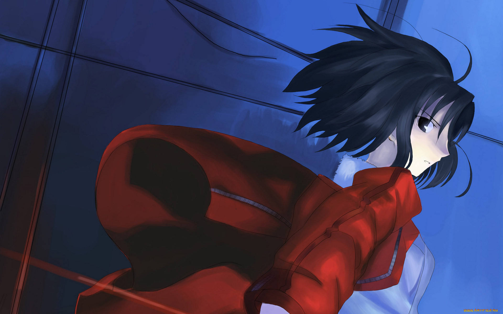 , kara, no, kyokai, 